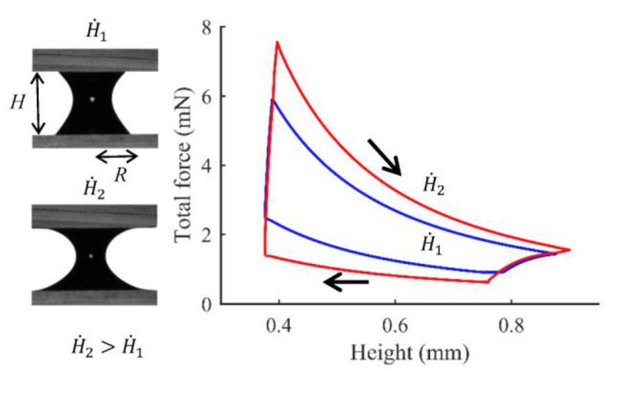 Paper online (Colloids and Surfaces A) on contact angle hysteresis